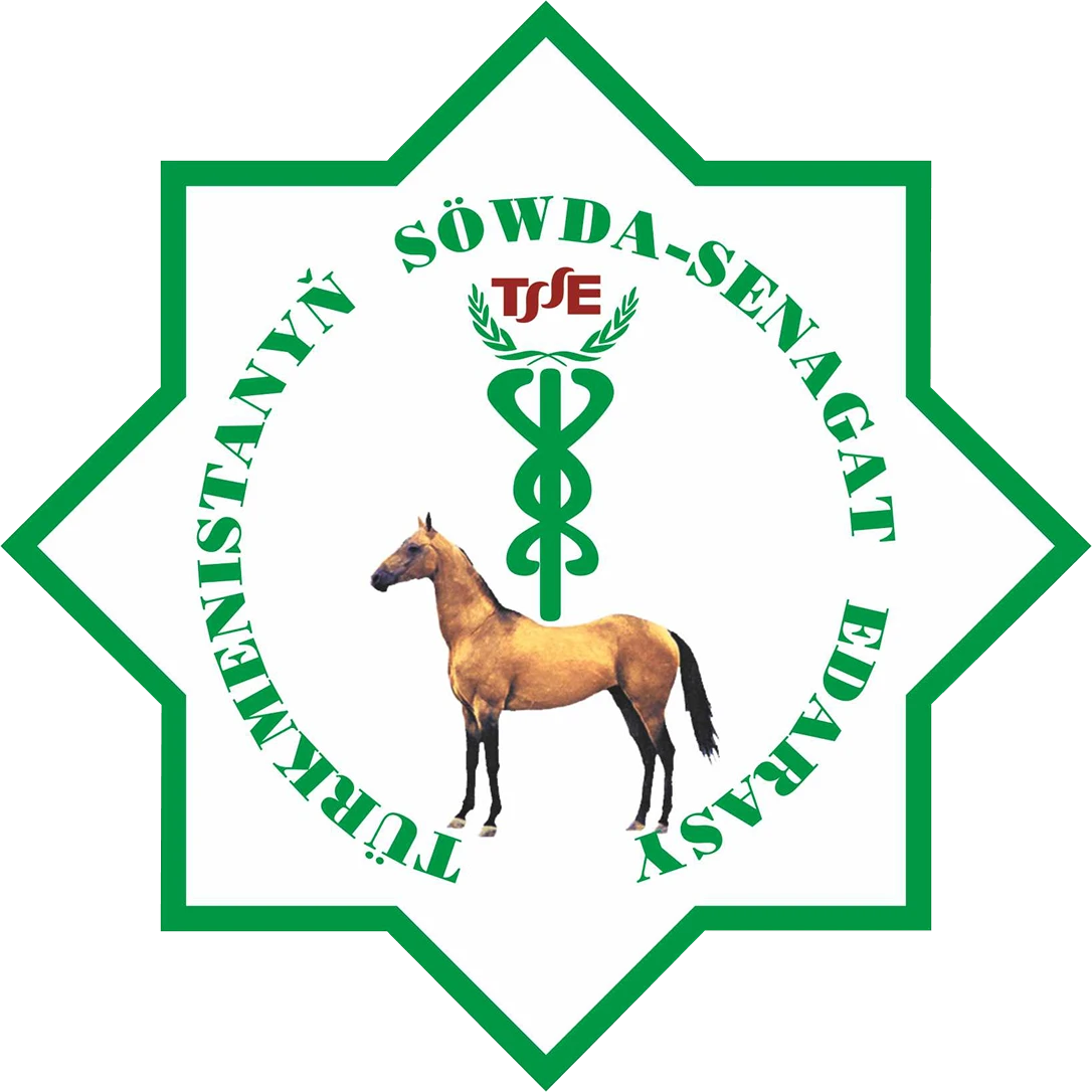 Türkmenistanyň onlaýn söwda we hyzmat portaly